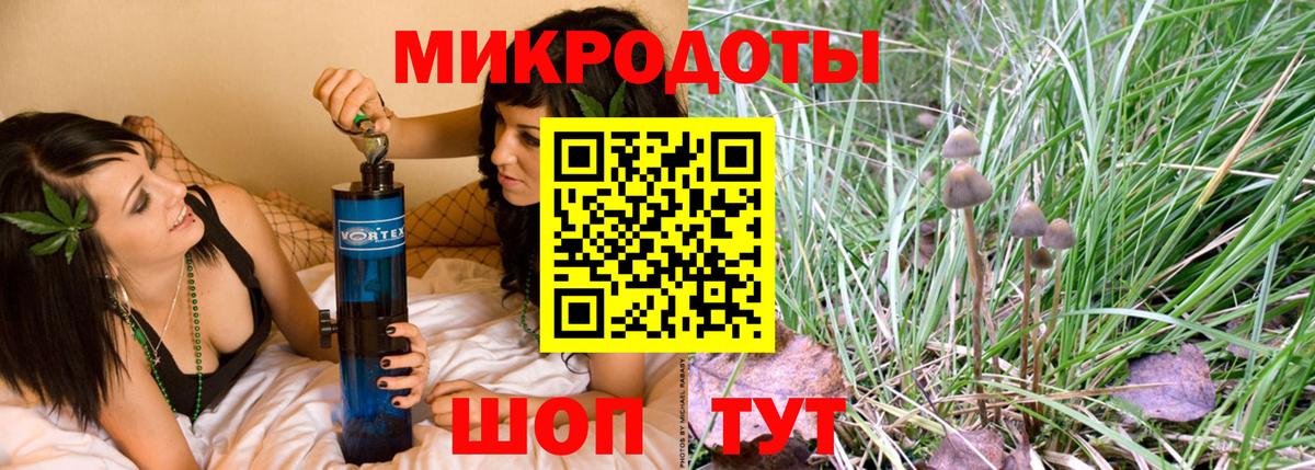 Галлюциногенные грибы Psilocybine cubensis  Псилоцибиновые грибы Psilocybe  Губаха  Вход с VPN 
