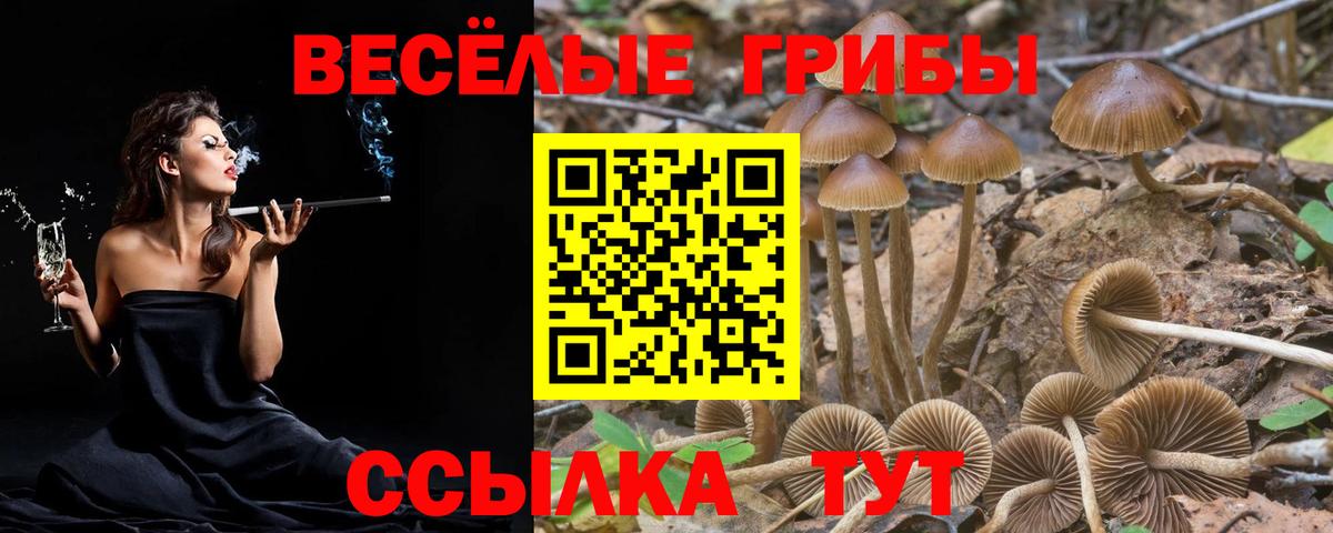 Псилоцибиновые грибы ЛСД Губаха